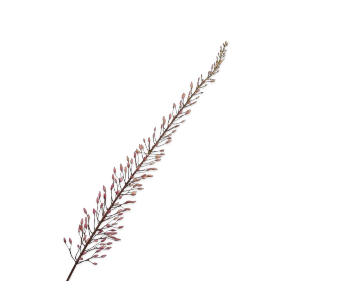 Эремурус розовый 162 см silk-ka 