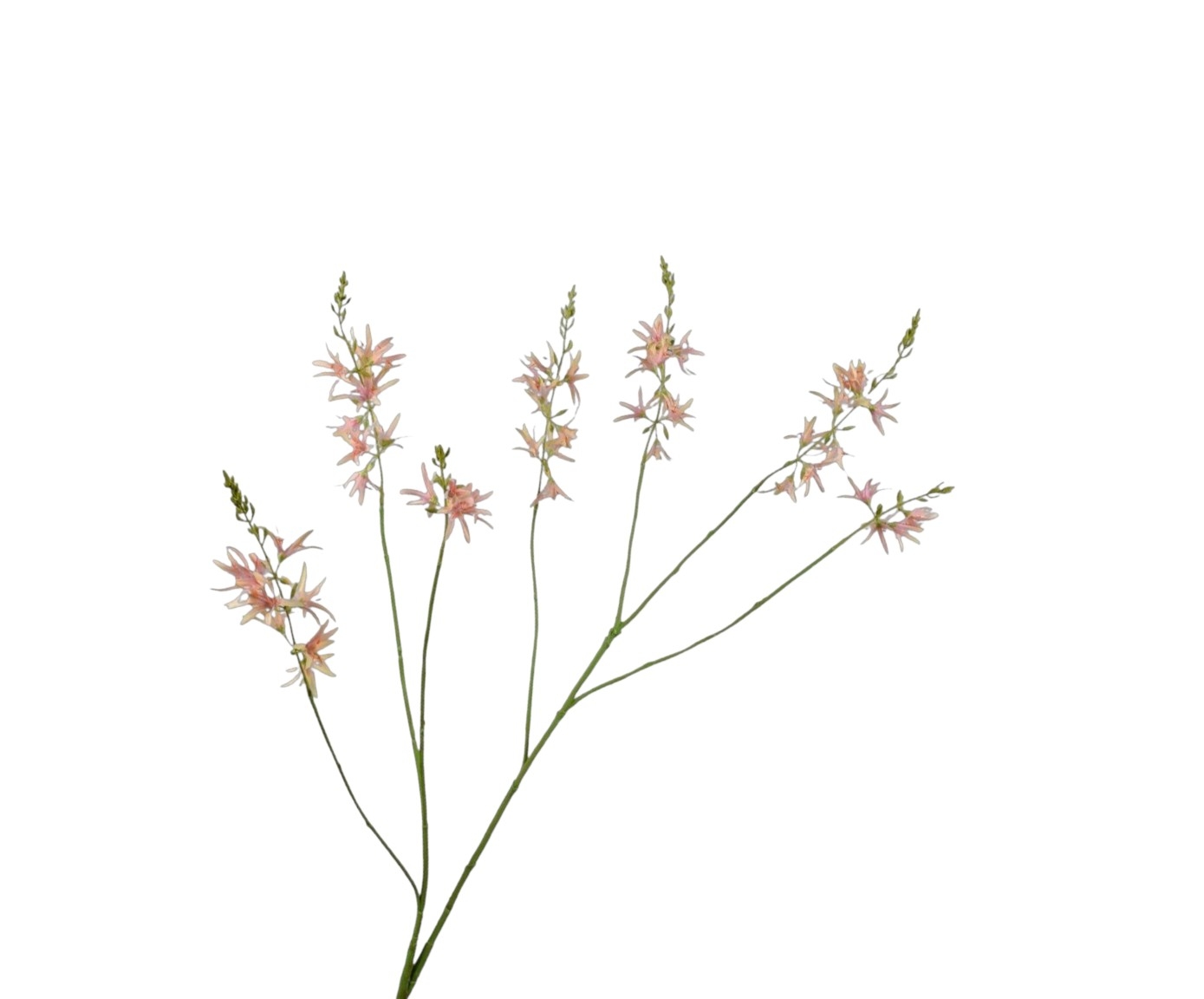 Крокосмия желто-розовая 117 см  silk-ka